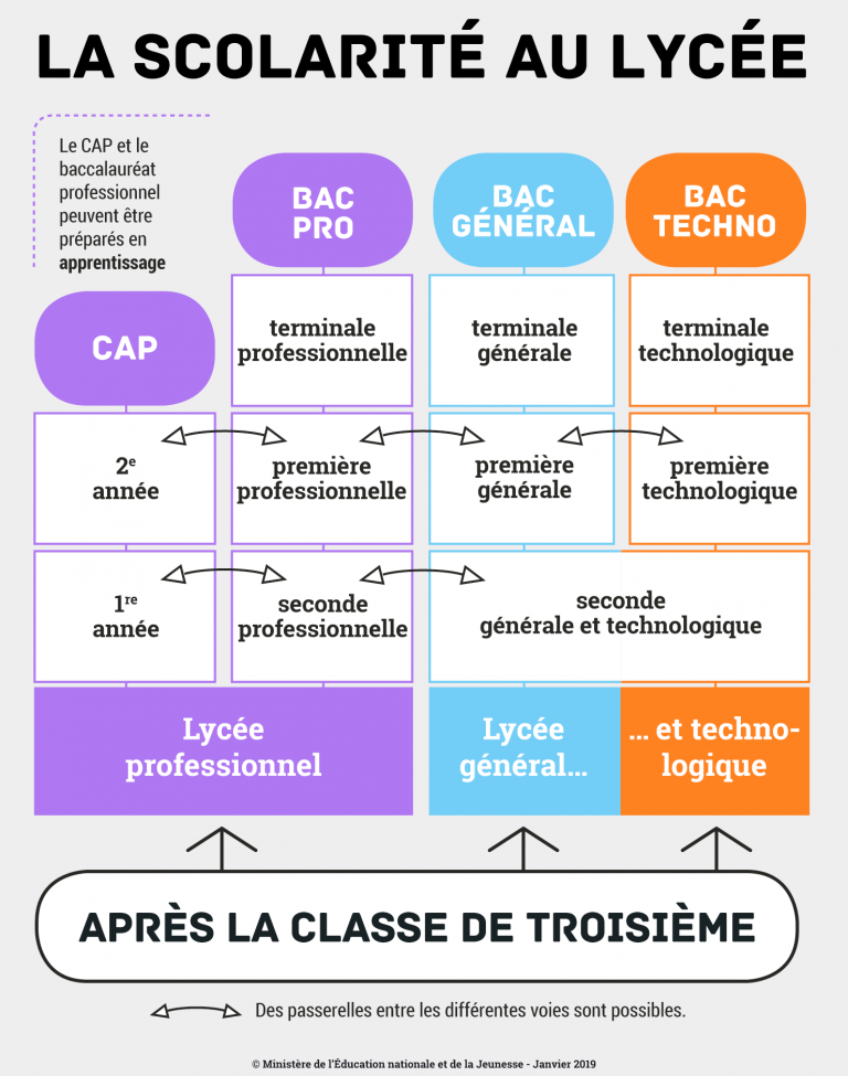 Infographie - La voie professionnelle au lycée