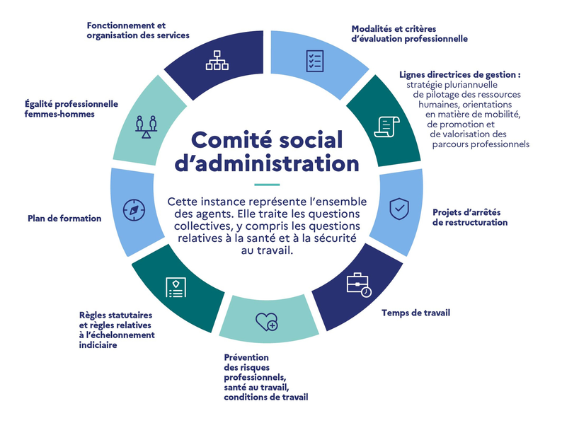 Tout comprendre sur les instances représentatives : le parcours de la licence au master - Transcription textuelle fournie après l’infographie