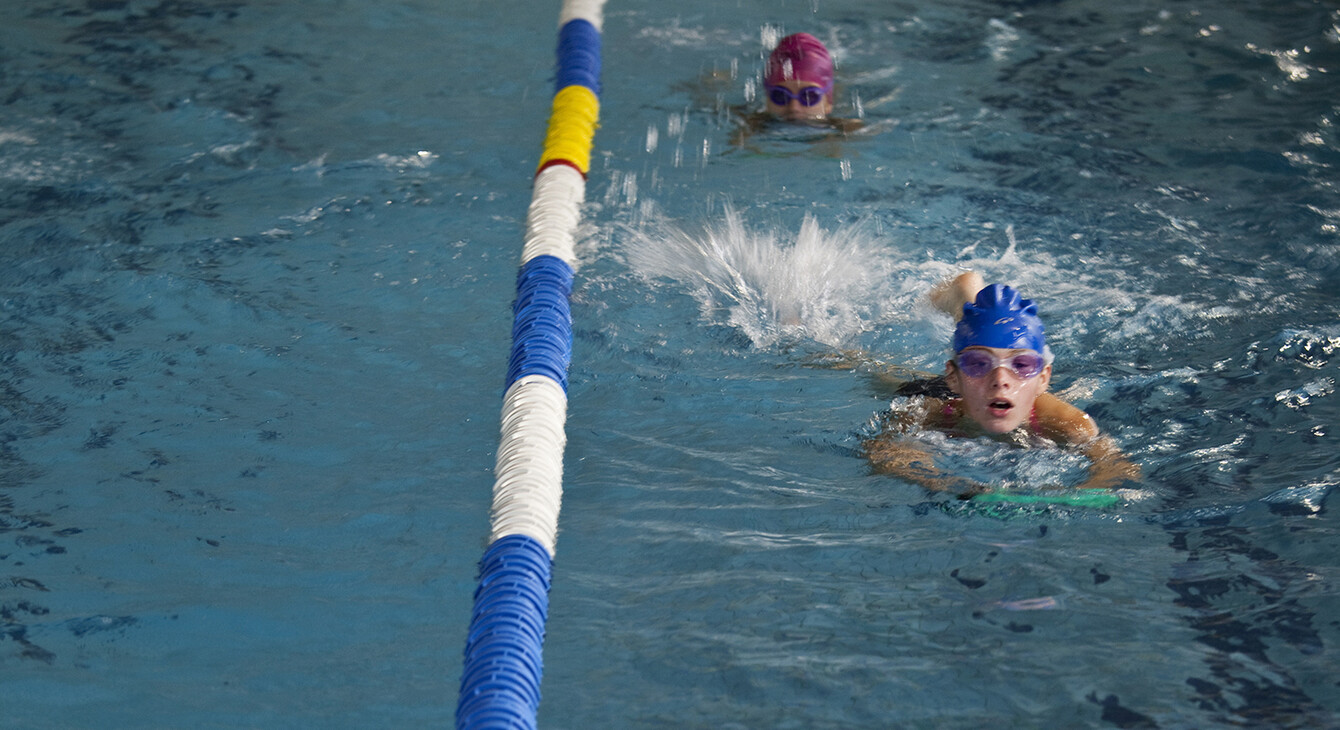 Matériel pour événement sportif, culturel ou loisirs