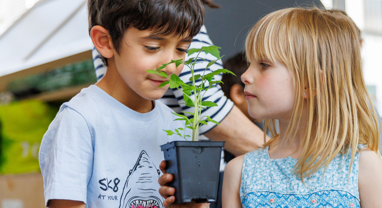 20 Mesures Pour La Transition écologique à L école Ministère De L 20 Mesures Pour La Transition écologique à L école Ministère De L