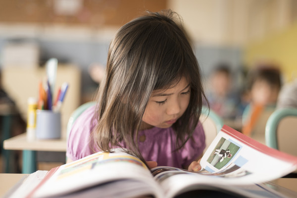 Programmes Scolaires Ministere De L Education Nationale De La Jeunesse Et Des Sports