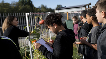 Developpement durable : groupe élève en extérieur