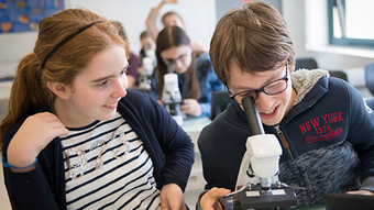Classes à horaires aménagés en mathématiques et sciences (CHAMS)